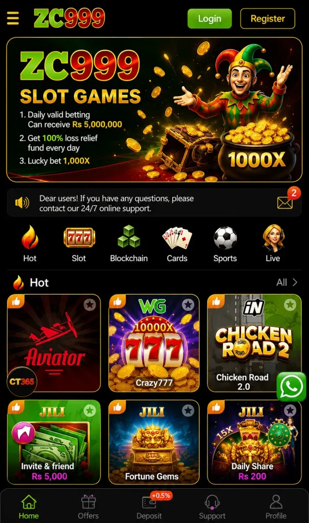 ZC999 Interface